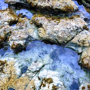 Meet your Posher, Mara